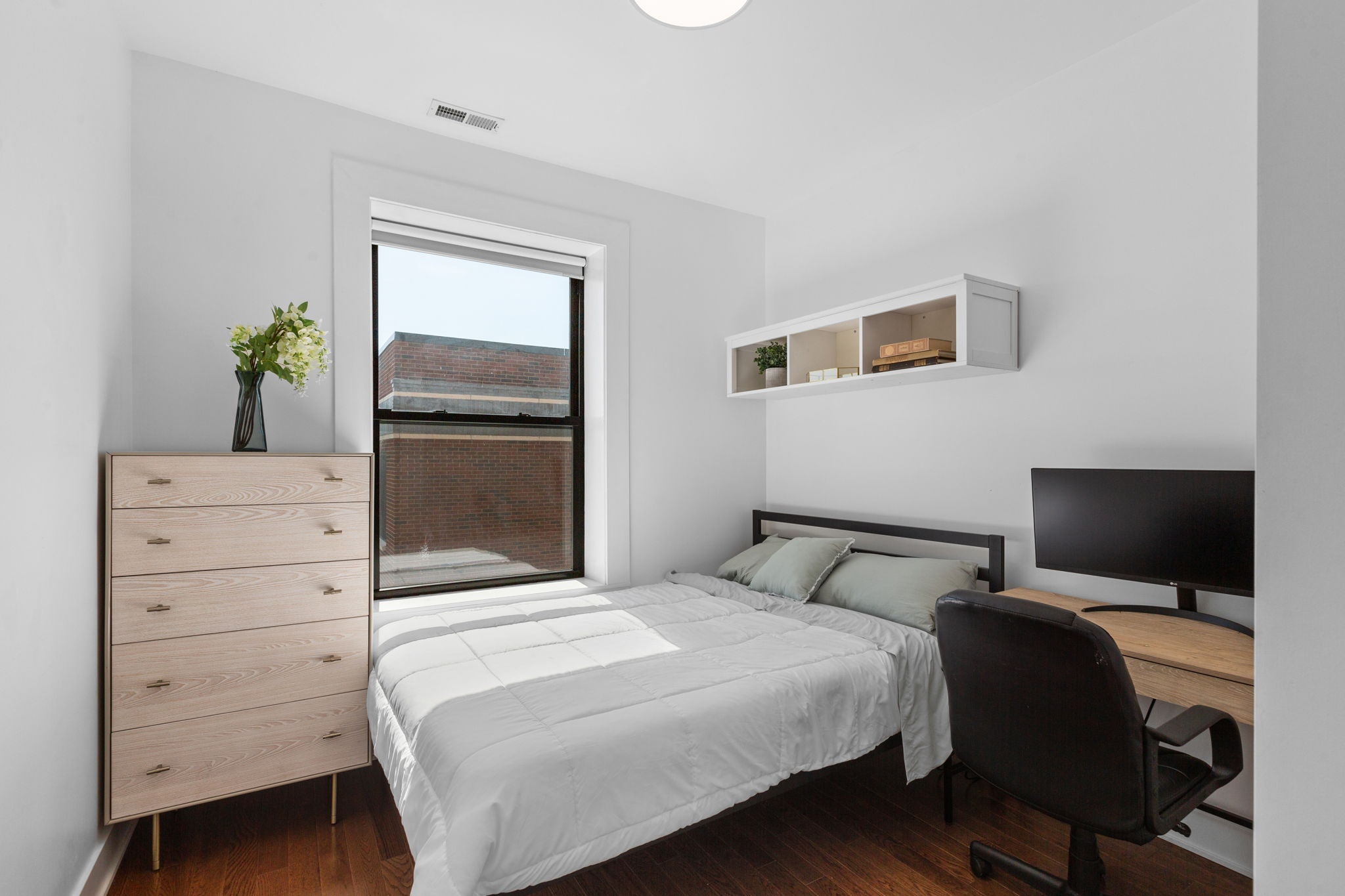 Load image into Gallery viewer, APOLLO