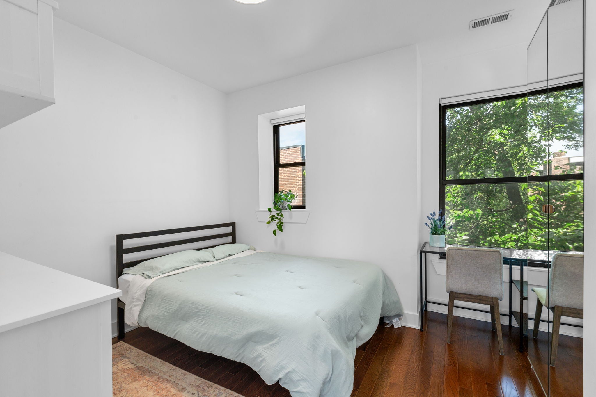 Load image into Gallery viewer, APOLLO