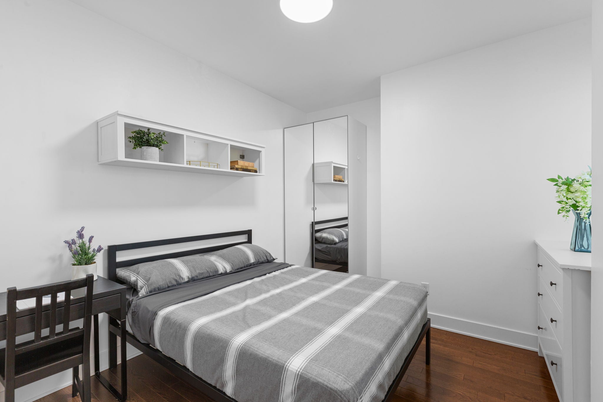 Load image into Gallery viewer, APOLLO