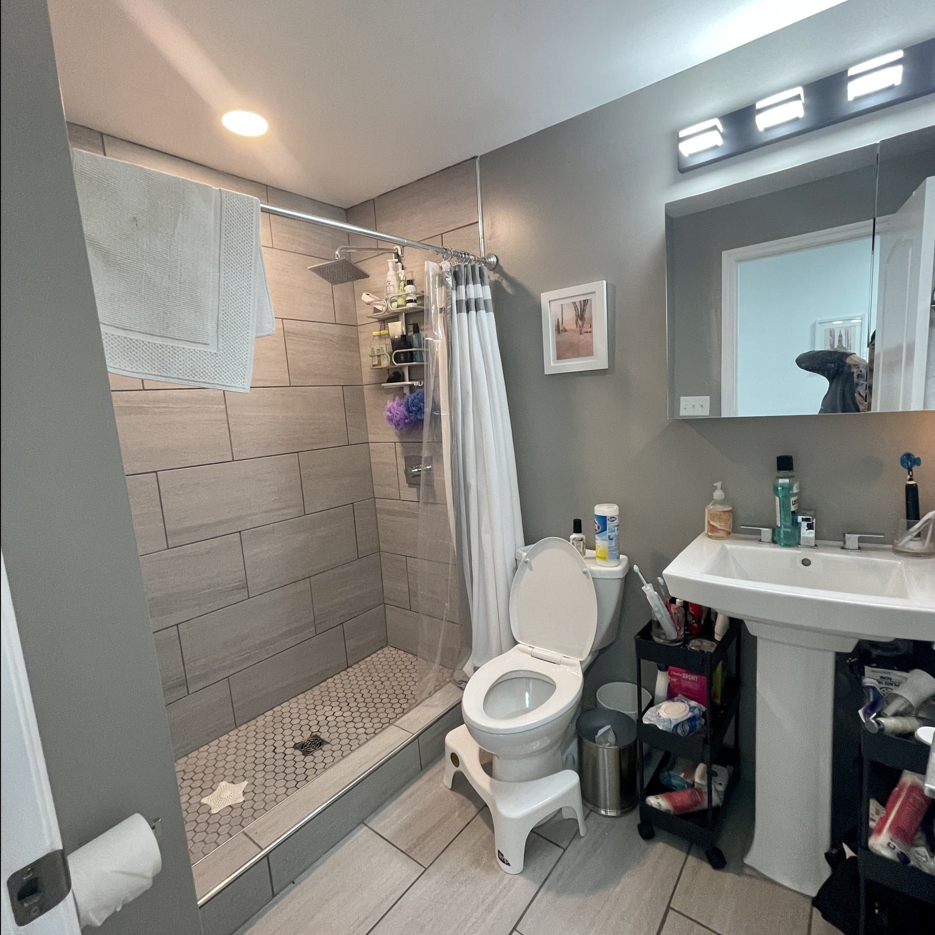 Load image into Gallery viewer, PEGASUS