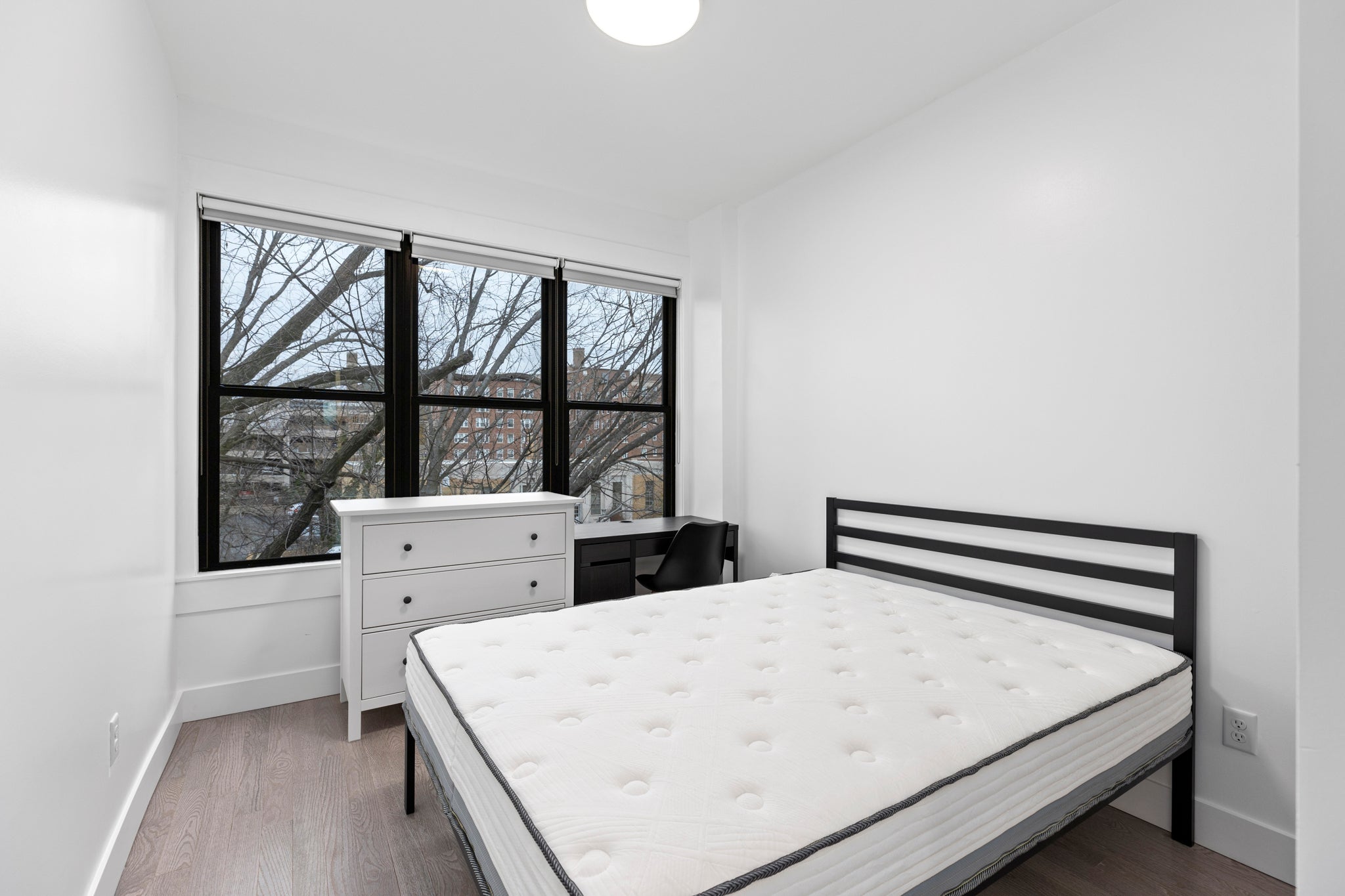 Load image into Gallery viewer, APHRODITE