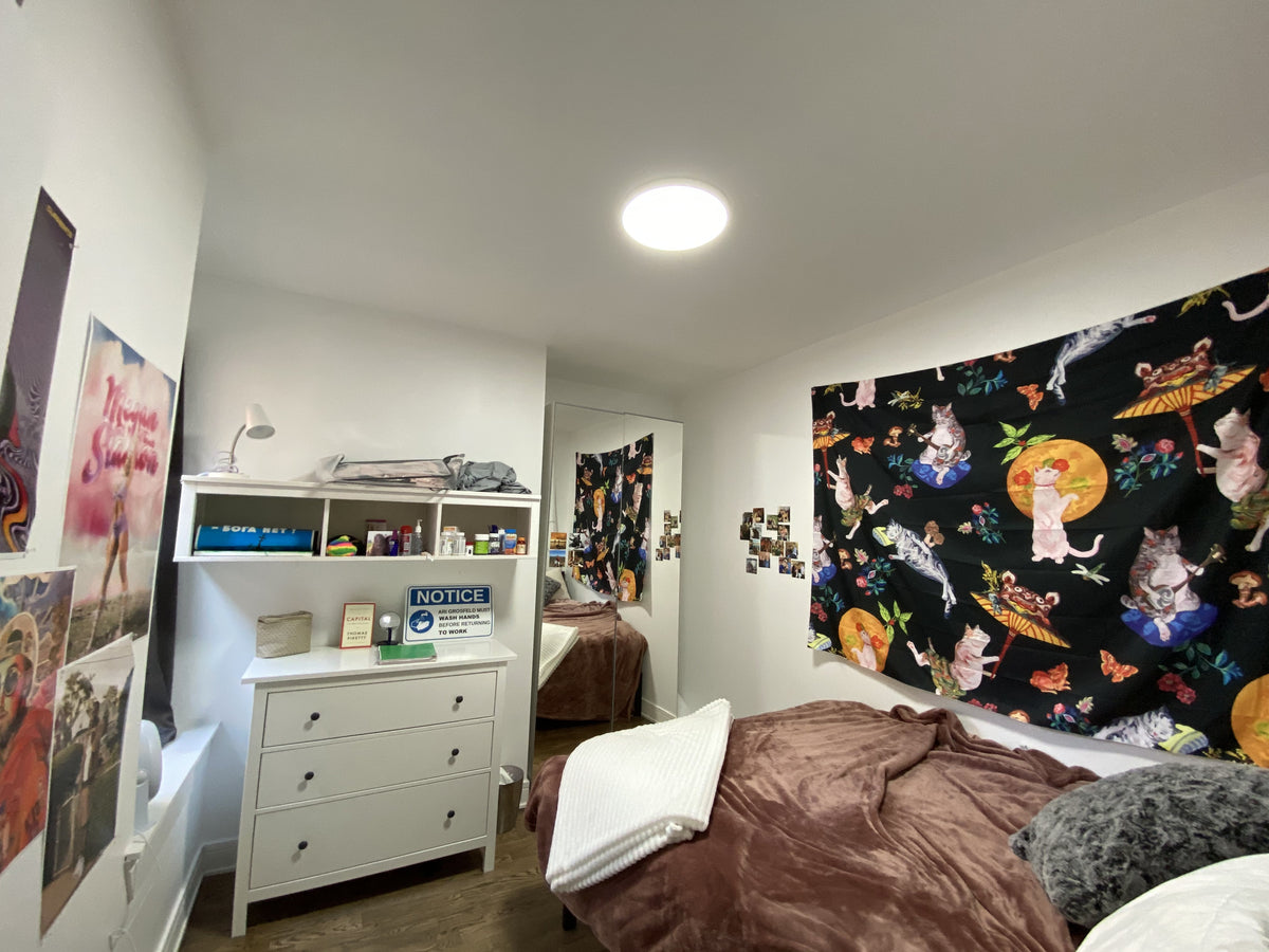 APOLLO WashU Off Campus Student Housing Clock Tower Company